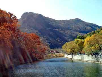 管家婆黑白马报图库，都市异能排行榜